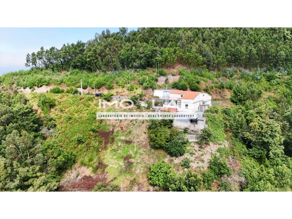 Villa T3 - Ribeira Brava - Grande imagem: 4/38