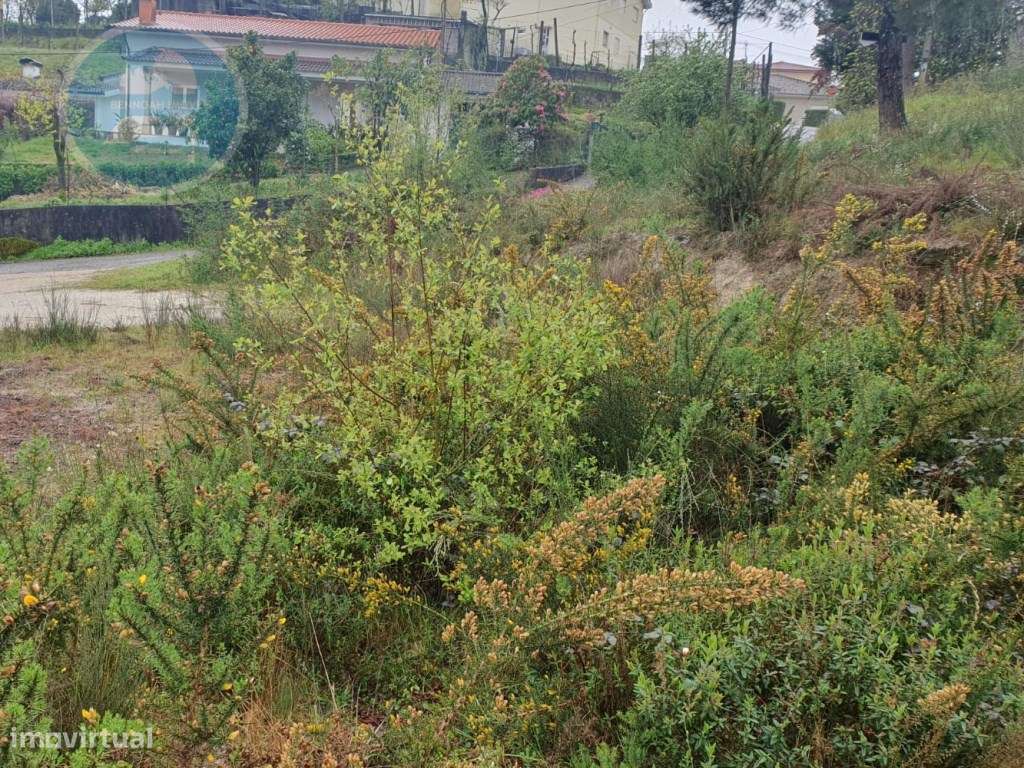 Terreno Construtivo de 1200m² 
Localização: Sra. de Fátima- Cabece...-9