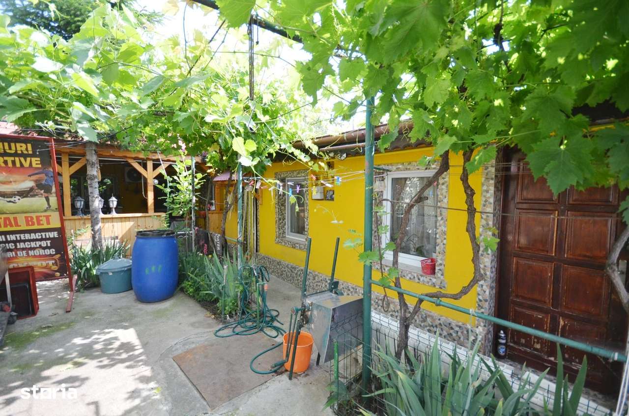 Casa din caramida, Parter + Pod - Dobroesti-19