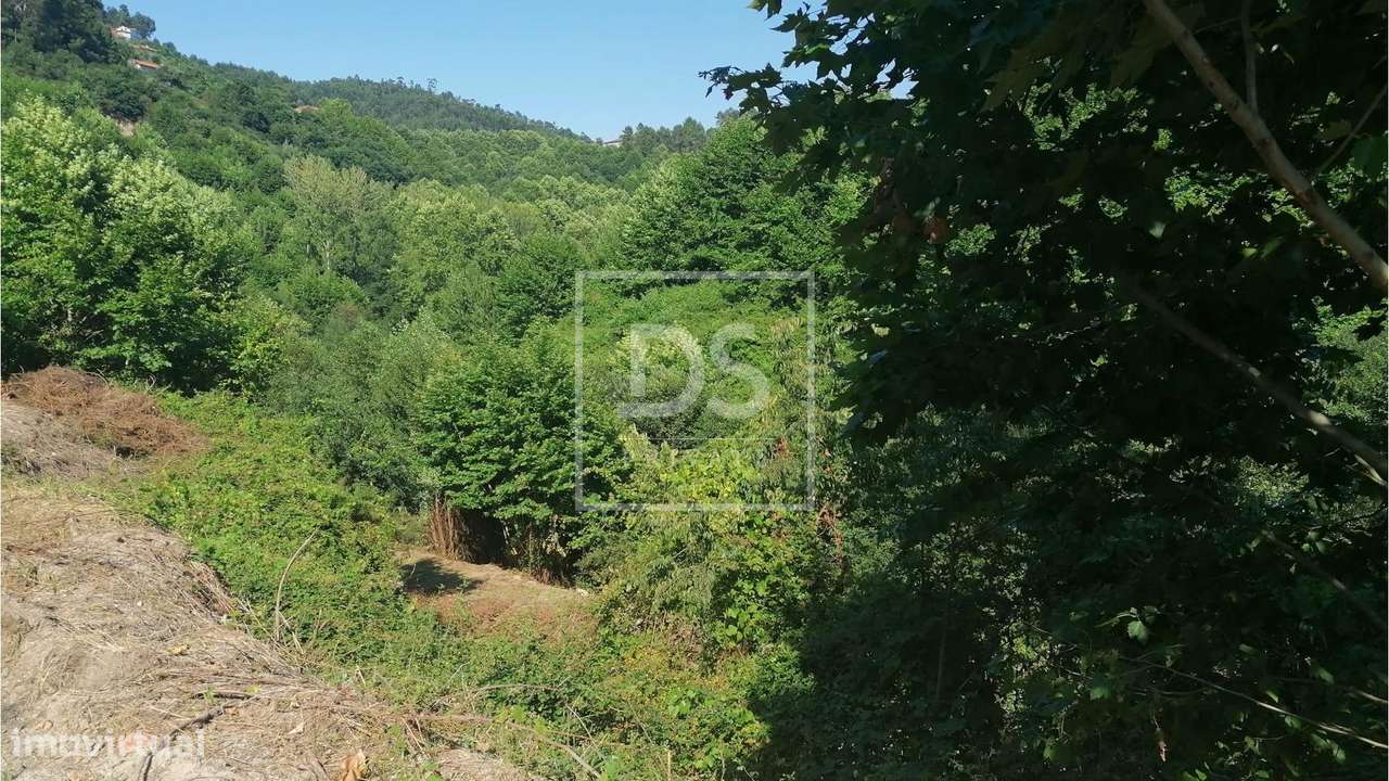 Quinta T4 Venda em Britelo, Gémeos e Ourilhe,Celorico de Basto - Grande imagem: 4/29