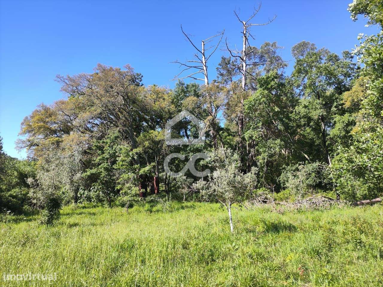 Terreno com 5710 m2 para construção, junto ao IC3, junto de Maçãs de D - Grande imagem: 4/14