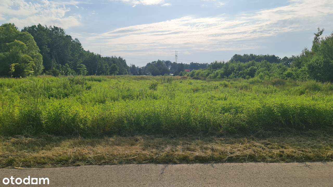 Wow... wymiary idealne, świetna cena !-0