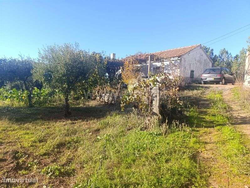 Quintinha / Fundão, Fatela - Grande imagem: 1/20