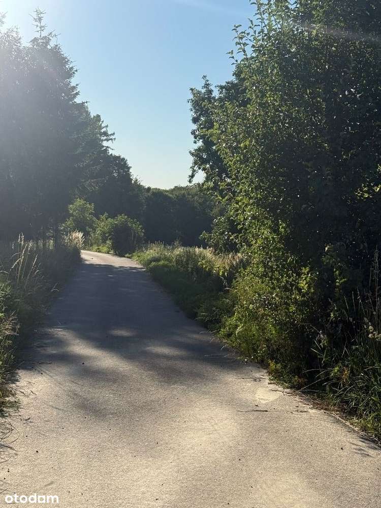 Działka w Górach Świętokrzyskich - Pełny obrazek: 5/5