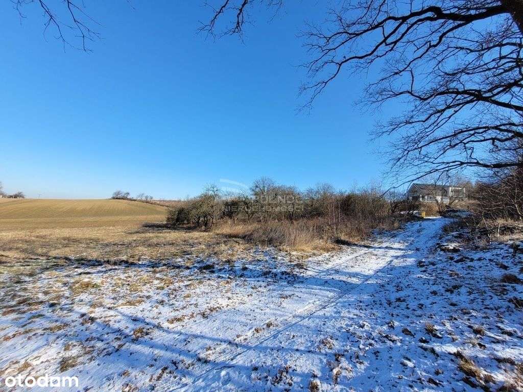 Działka 55 arów z W-Z / Cielętniki - Pełny obrazek: 3/12