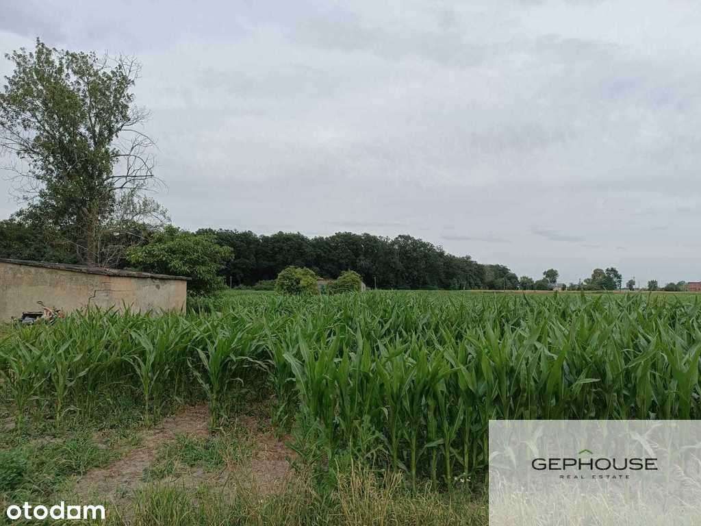 Działka w zacisznej lokalizacji - Pełny obrazek: 4/4