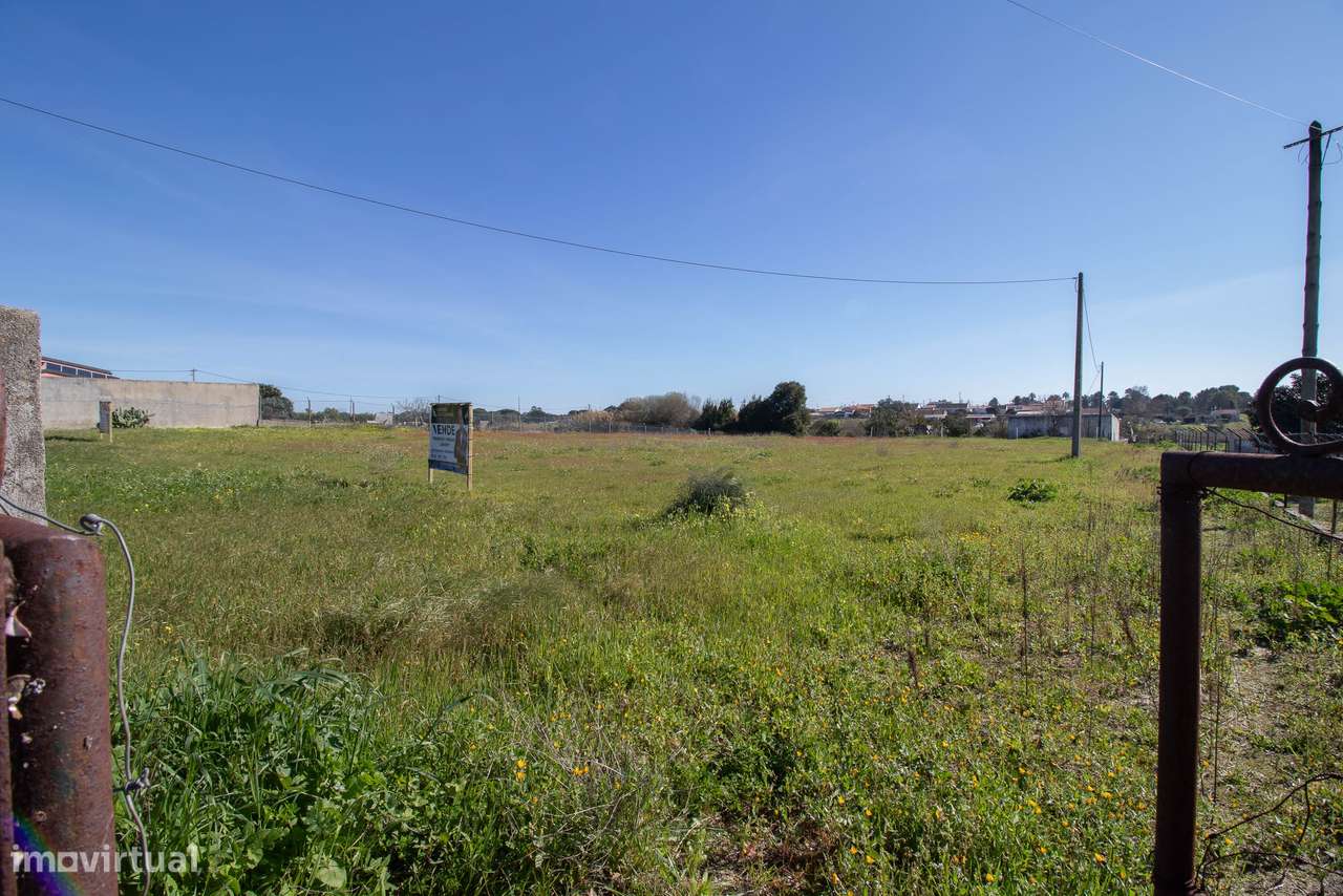 Terreno  Venda em Gâmbia-Pontes-Alto da Guerra,Setúbal - Grande imagem: 4/8
