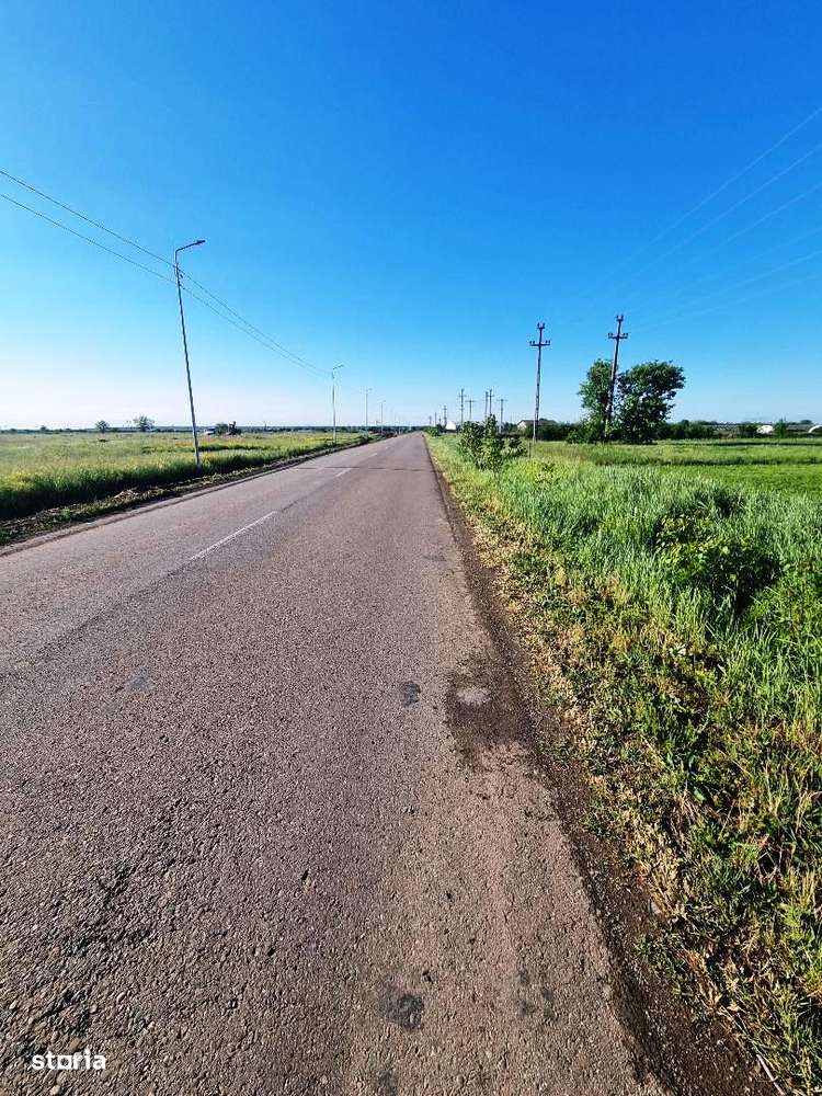 Teren intravilan Lipia-Merei 5000mp ! - Imagine principală: 4/5