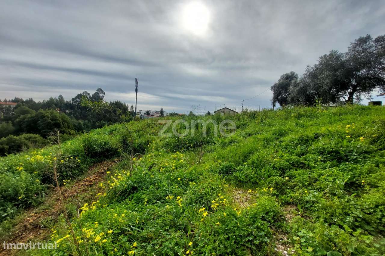 Terreno Urbano em Travassô - Grande imagem: 4/18
