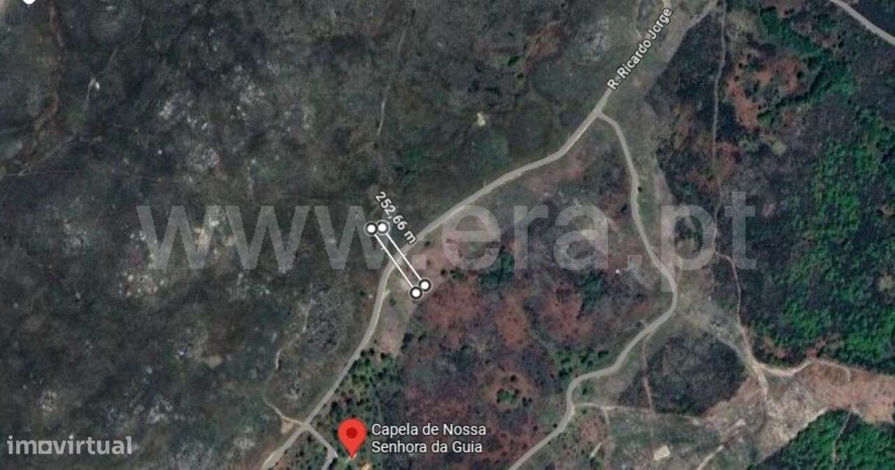 Terreno / Baião, Campelo e Ovil - Grande imagem: 3/4