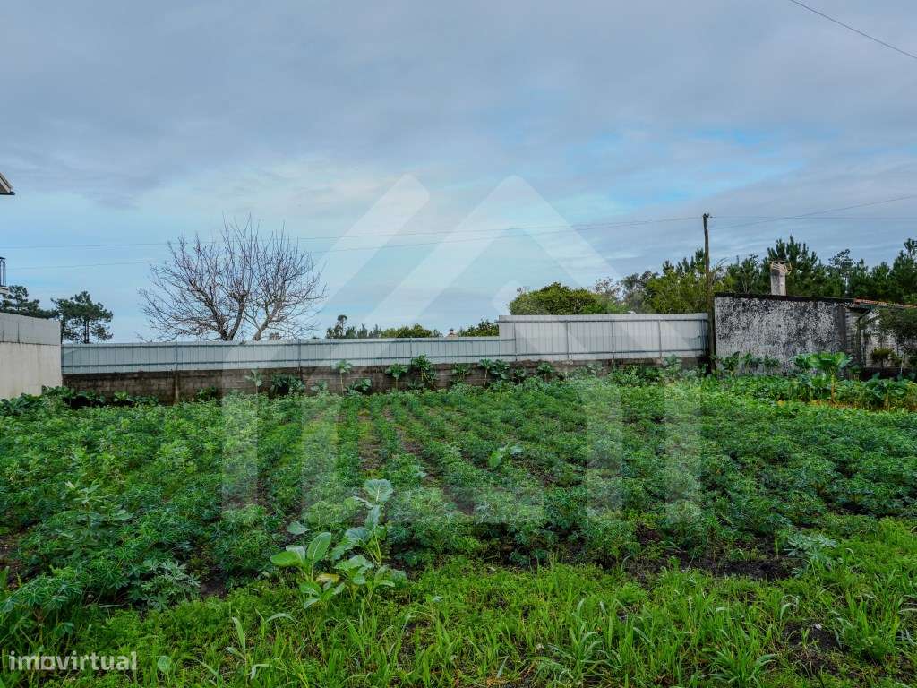Terreno em Arazede - Grande imagem: 5/6