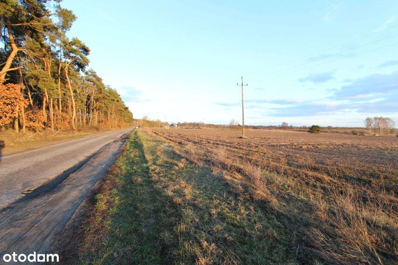 Działka 0,9723 ha BUSZEWO-5