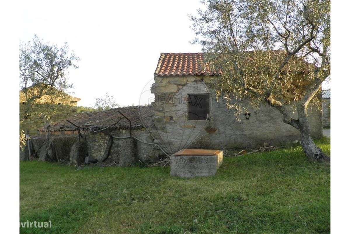 Quinta T0 para venda - Grande imagem: 4/34