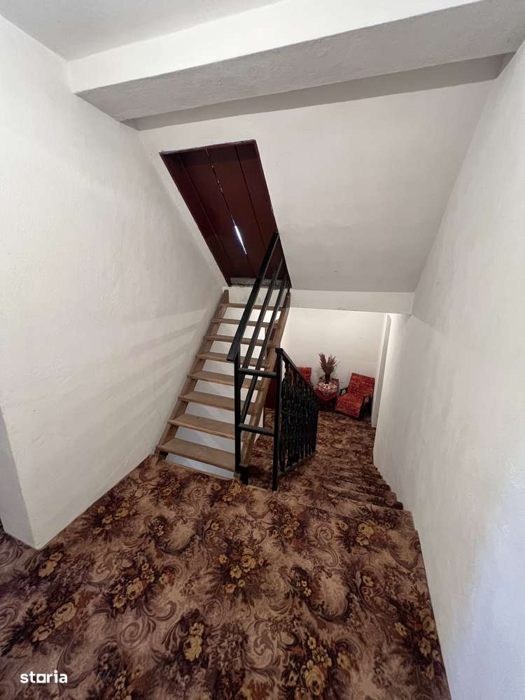 Casă spațioasă și primitoare în Viile Satu Mare – zona Dealu Mare-15