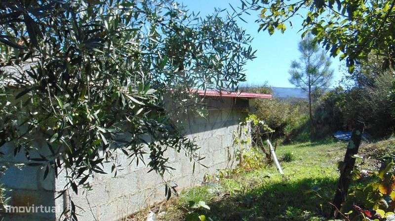 Venda: Quinta em Celorico da Beira/ Vila Boa Do Mondego - Grande imagem: 5/9