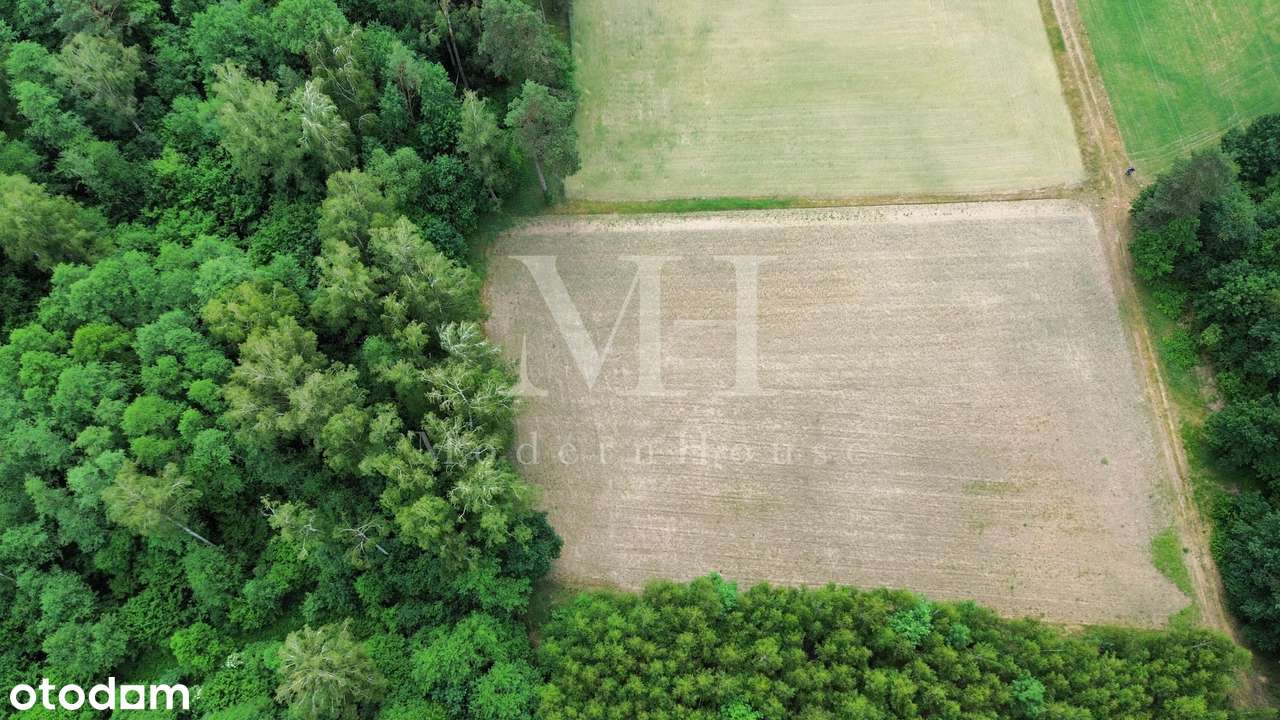 Działka  rolno leśna z warunkami zabudowy obok S8 - Pełny obrazek: 5/6