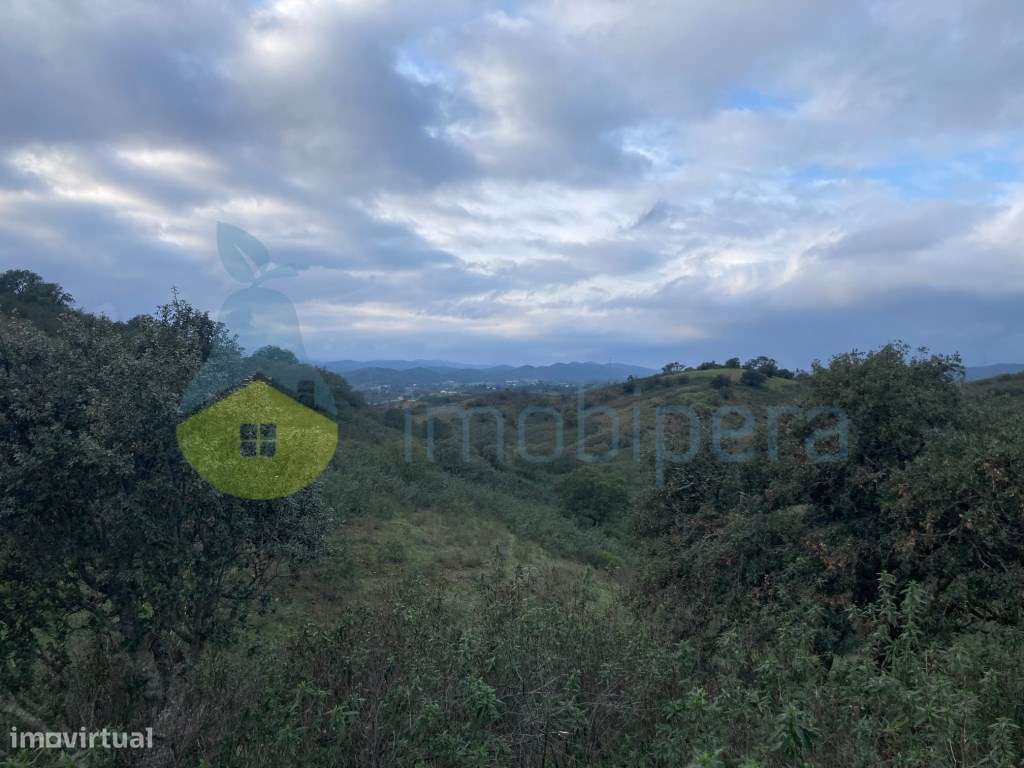 TERRENO RÚSTICO COM 29,296 m2 COM CULTURA ARVENSE - Grande imagem: 2/25