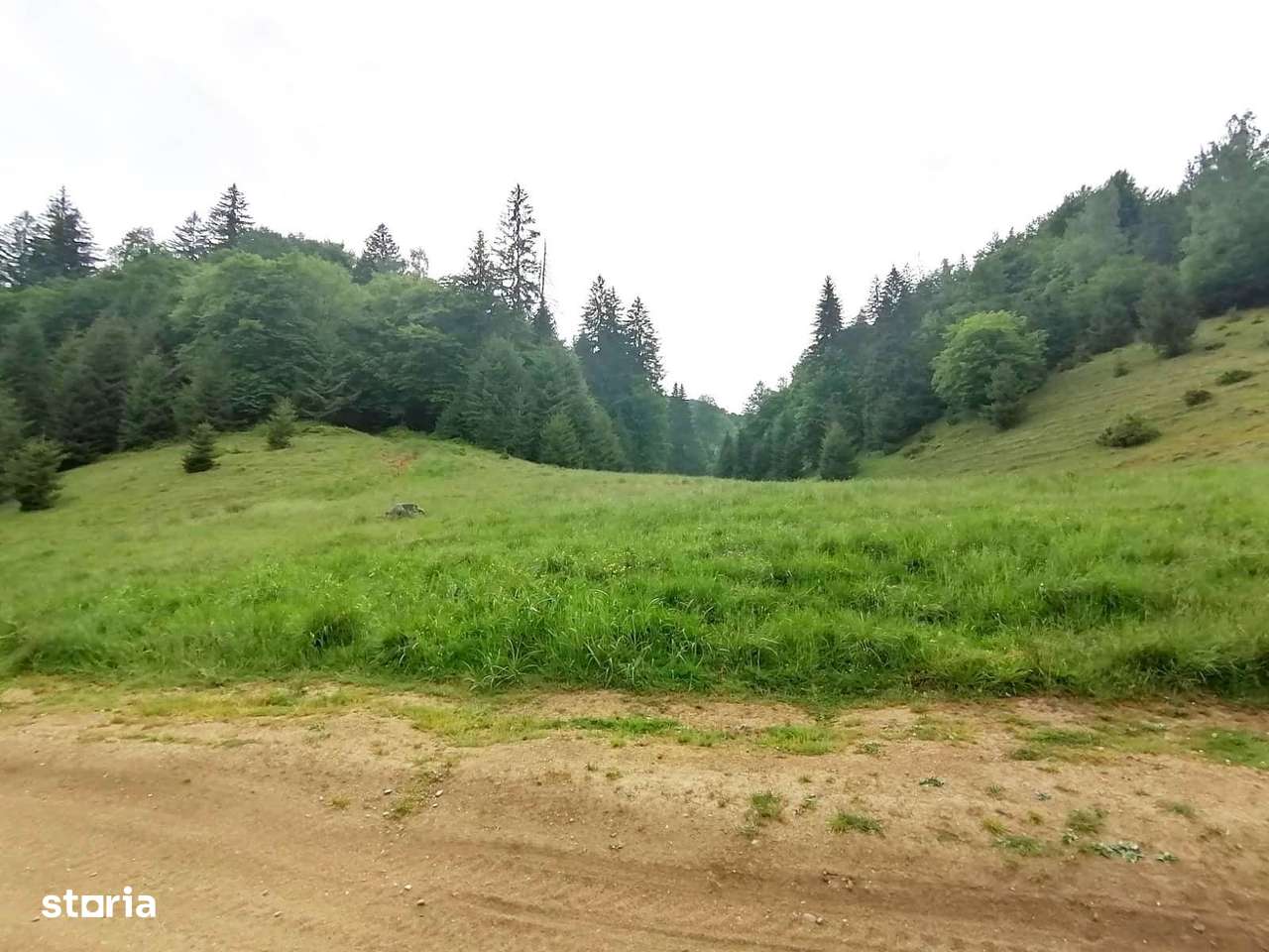 Teren 2.763 mp Poiana Brașov – lângă Stâna Turistică Sergiana-3