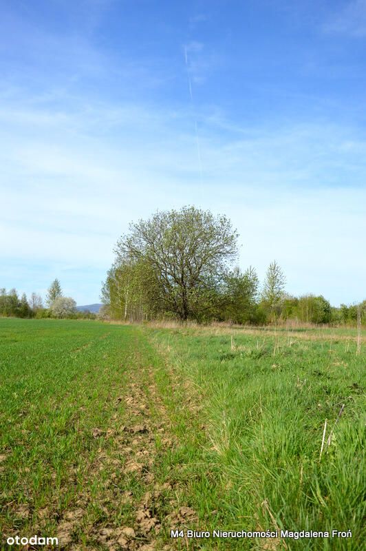 Działka z warunkami zabudowy w Krośnie.