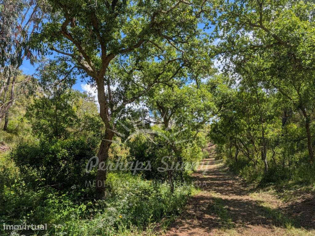 Quintinha com projeto aprovado Dependência Agrícola - Grande imagem: 5/31