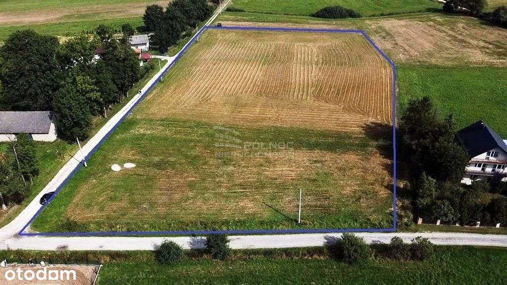 Krzeczów Ul Dębowa- działki budowlane - Pełny obrazek: 3/6