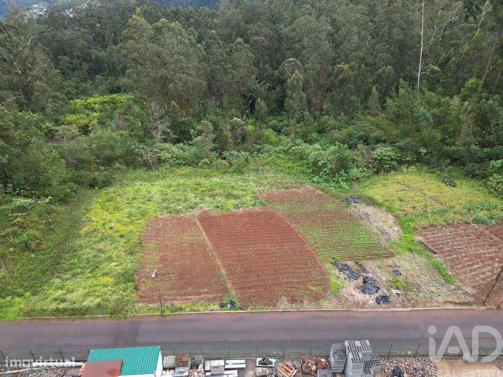 Terreno para construção T2 em São Jorge de 3630,00 m2 - Grande imagem: 4/30