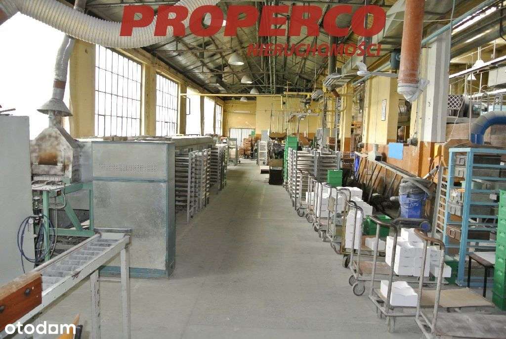 11 budynków (hale i biura) 10 094m2, centrum Kielc - Pełny obrazek: 4/15