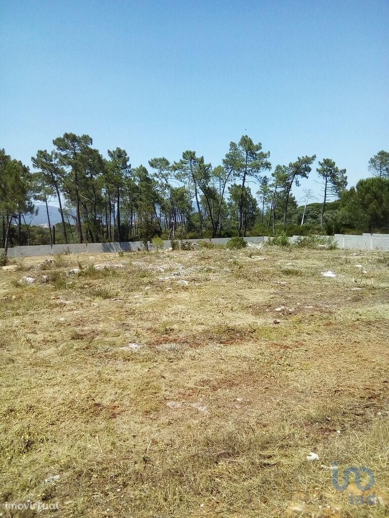 Terreno em Santarém de 5620,00 m2