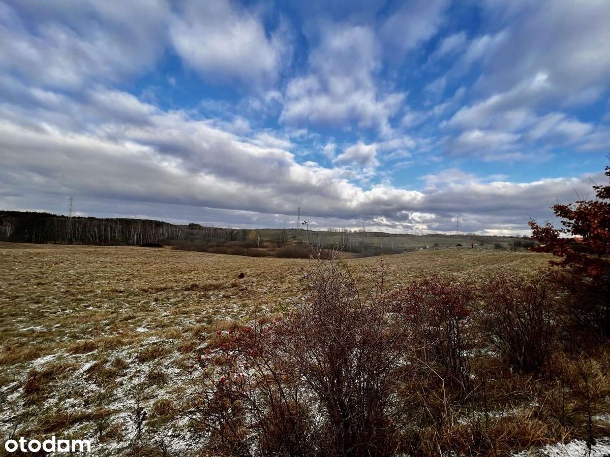 Skajboty - 12 ha kompleks działek na sprzedaż-1