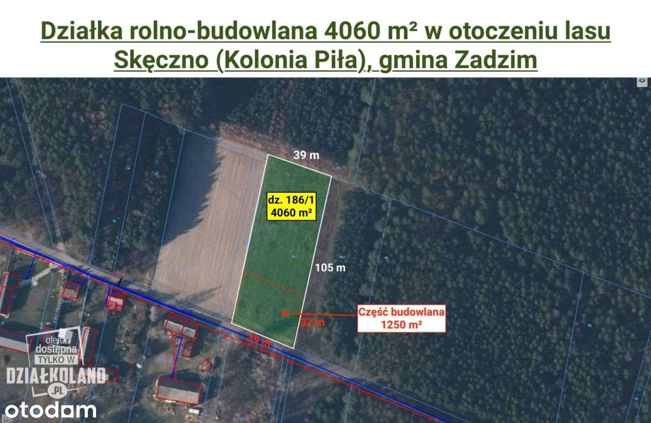 Dz. budowlana 4060 m², Skęczno (Kol. Piła), Zadzim-1