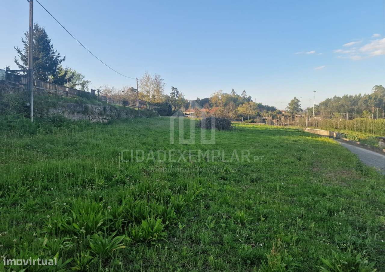 Terreno e Casa em Ruínas para Construção – Irivo, Penafiel-6
