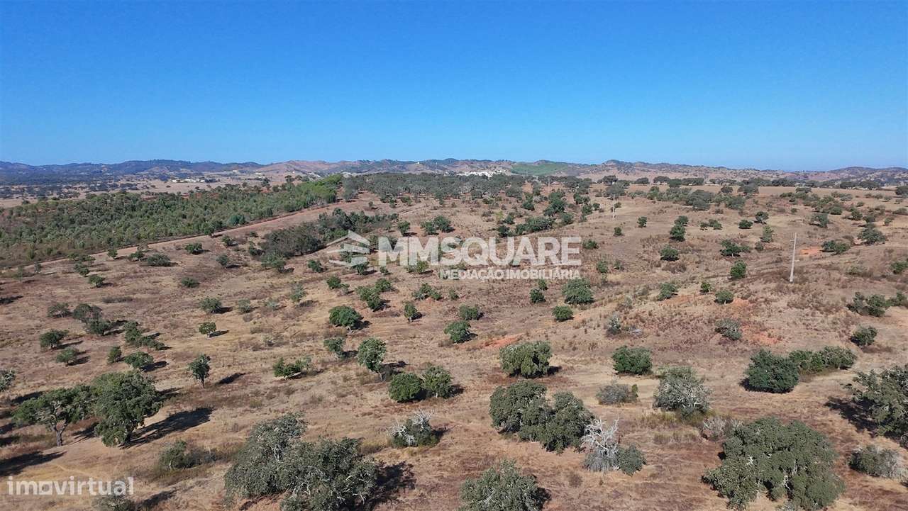 Herdade  Venda em Garvão e Santa Luzia,Ourique-21