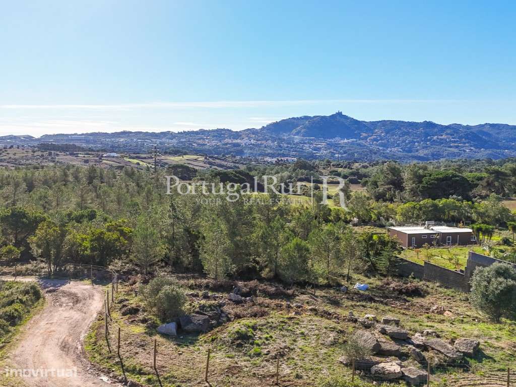 Terreno com 5.500m2 e projecto aprovado para moradia na região de S... - Grande imagem: 3/31