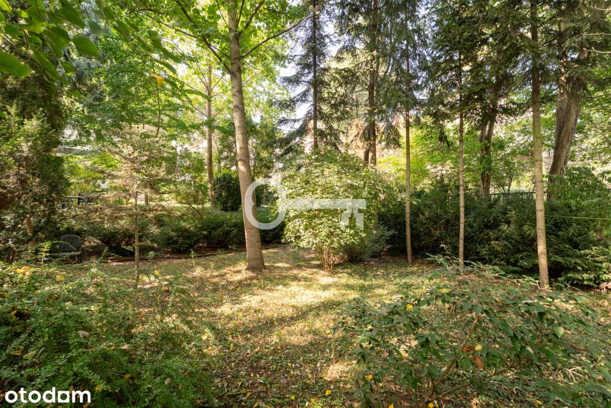 Top lokalizacja | Dom z dużym ogrodem - Pełny obrazek: 4/7