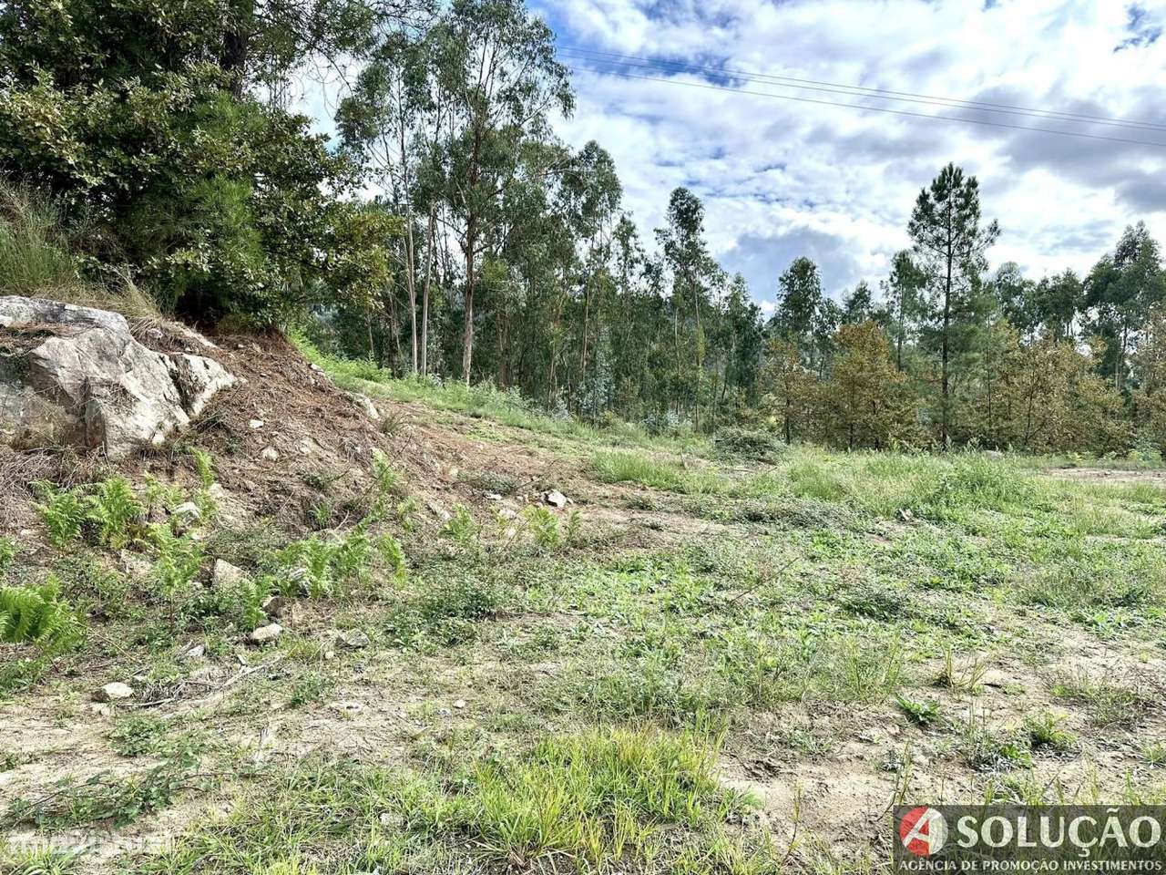 Terreno - Povoa do Lanhoso-5