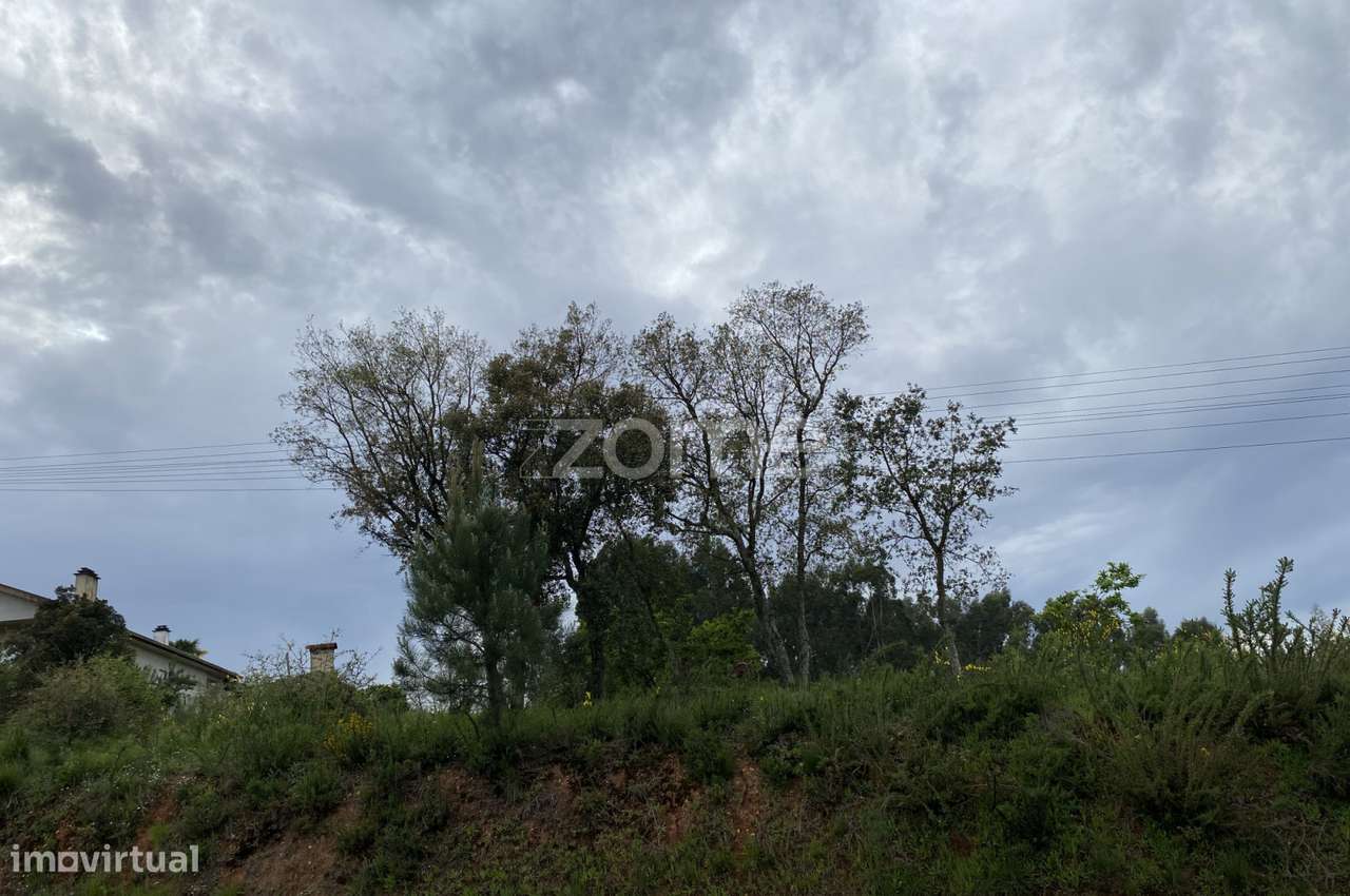 Terreno para Construção | Com 8800m2 - Grande imagem: 4/22