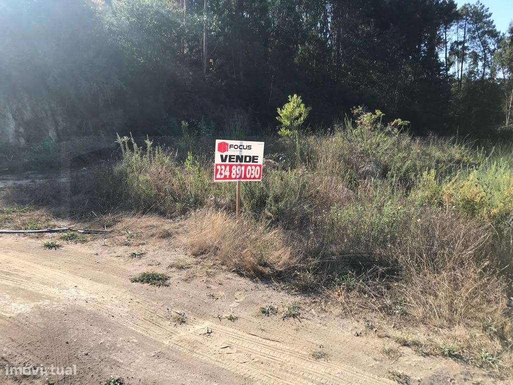 Lote de Terreno para Moradia - Oliveira de Azeméis - Grande imagem: 3/6