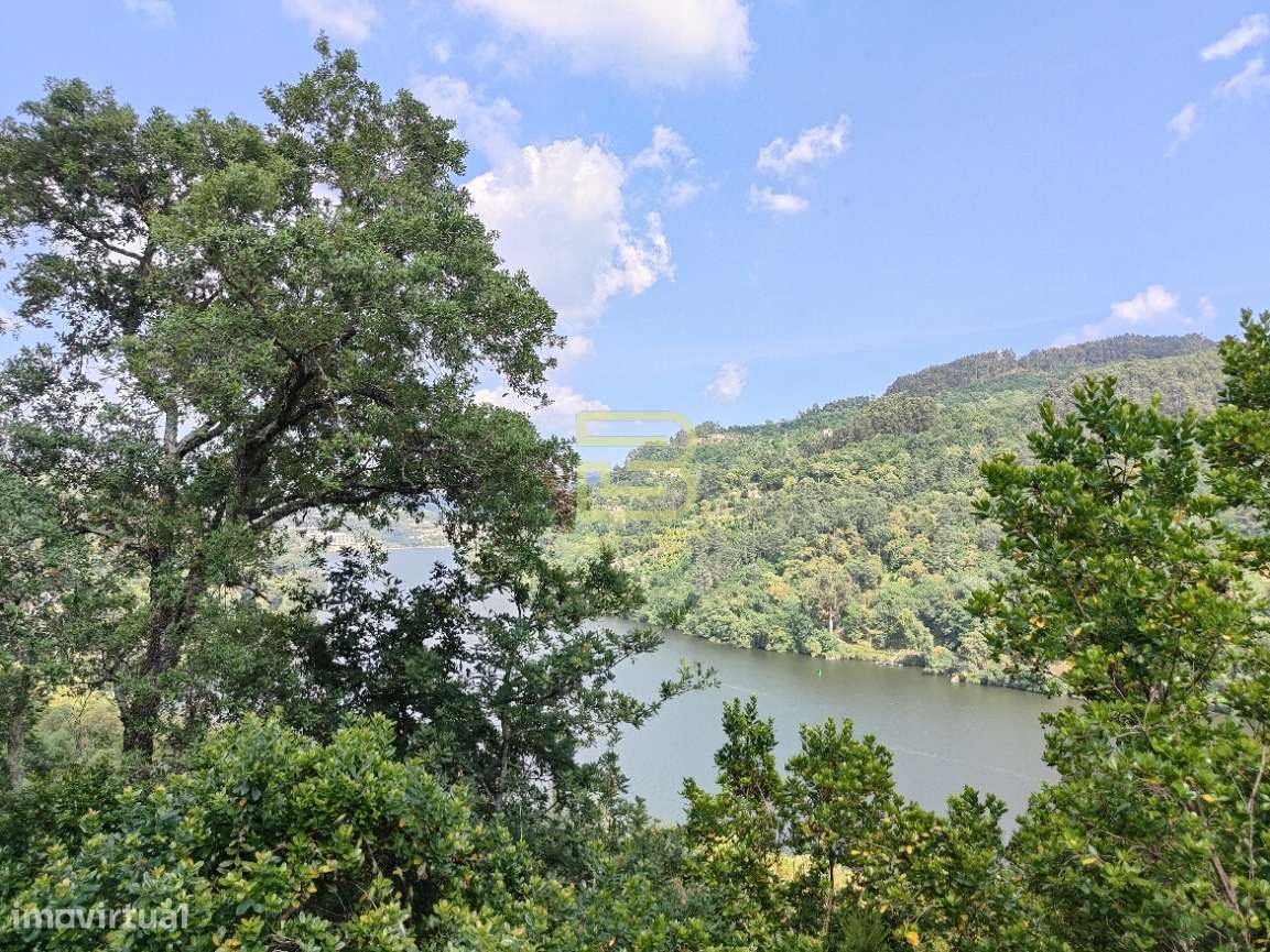 TERRENO MISTO com 28 588m2 com VISTA permanente para o RIO em Paços de - Grande imagem: 4/9