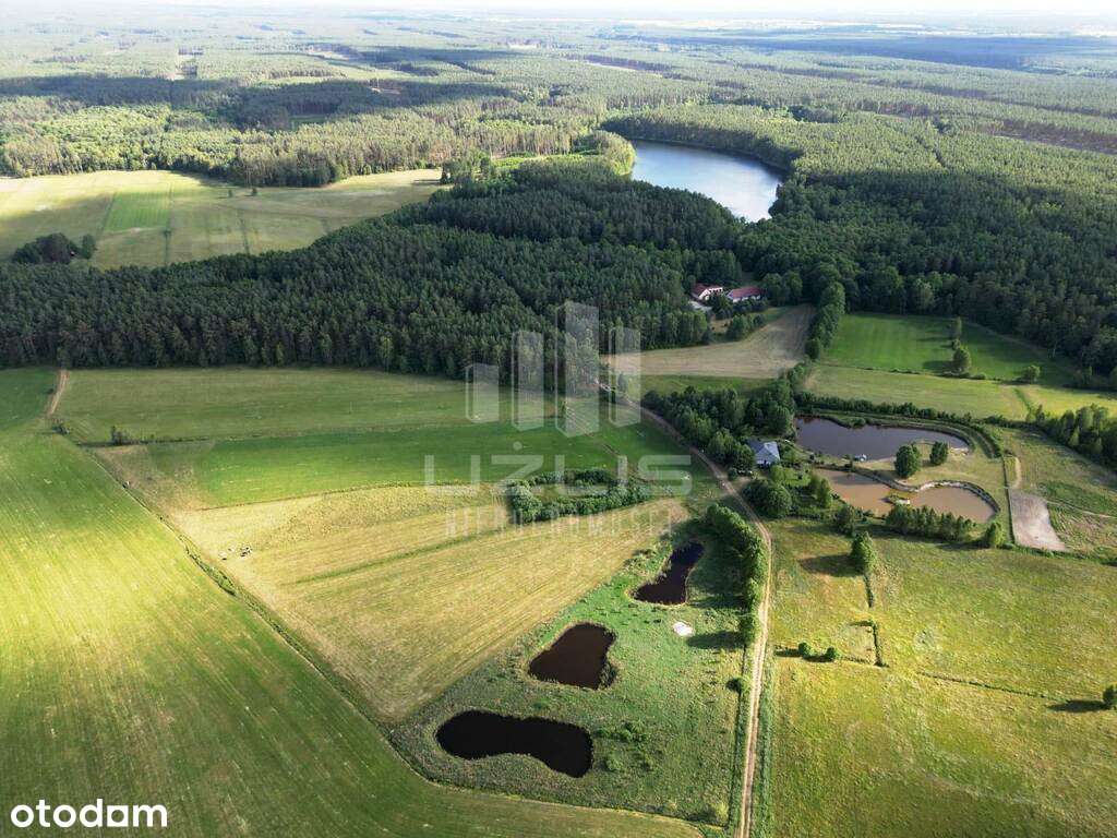 Serce Borów Tucholskich - Unikat !! - Pełny obrazek: 2/10