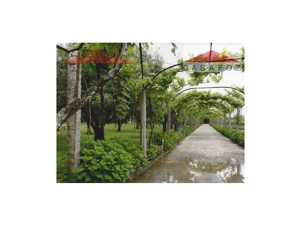 Viana do Castelo - Venda Quinta-16