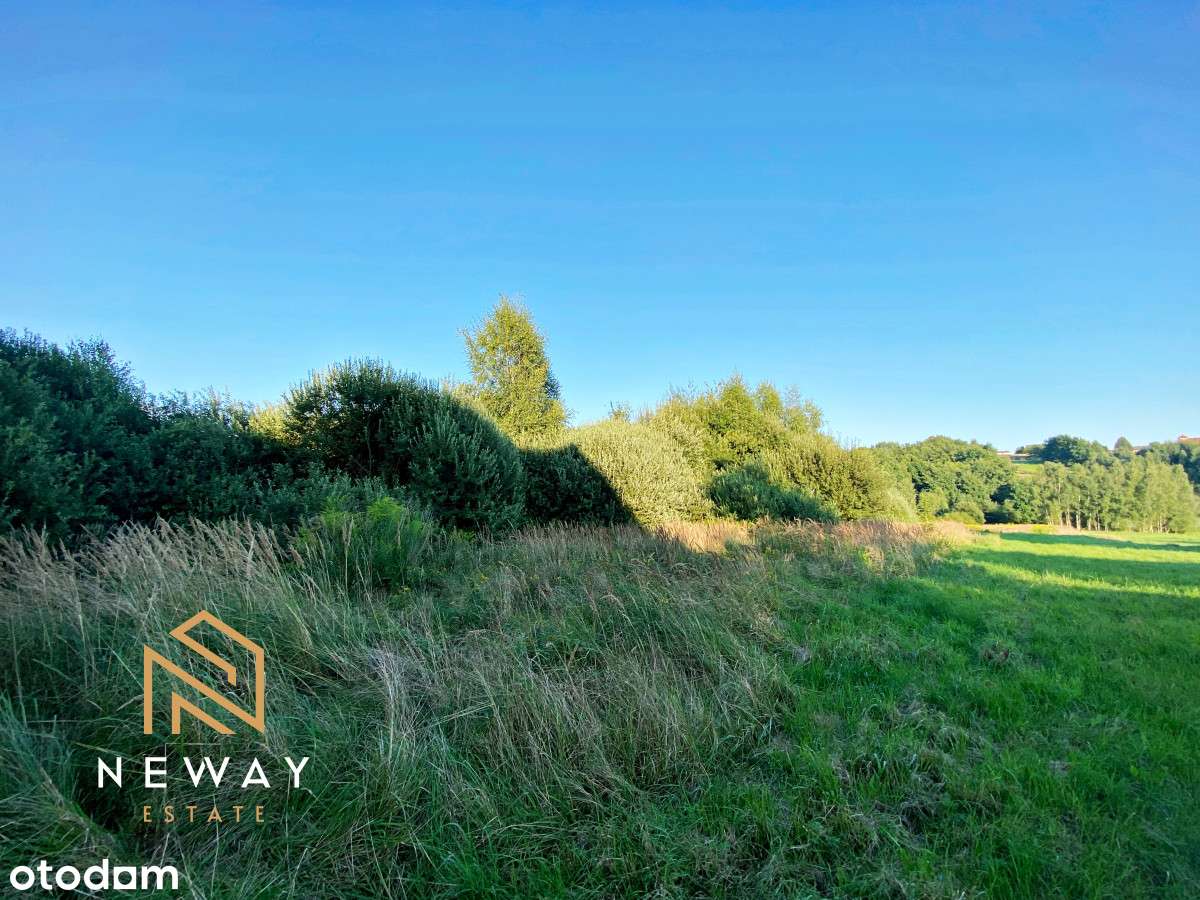 Działka z potencjałem w świetnej cenie - Pełny obrazek: 5/8
