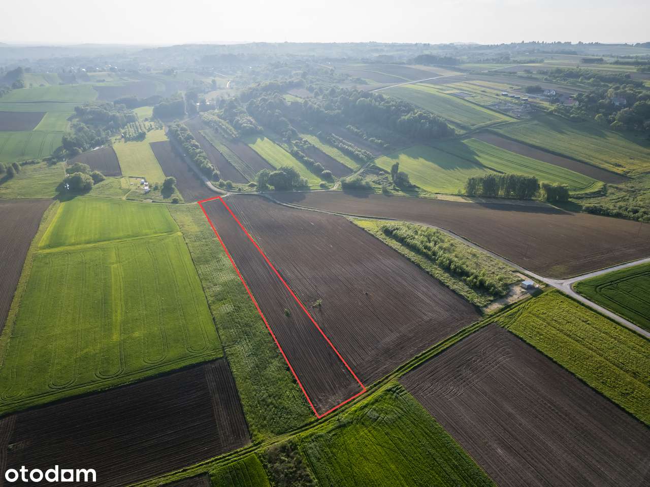 Rybna | Działka rolna | 54 ar | 0% PROWIZJI-4