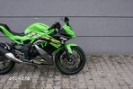 Kawasaki Ninja - 10