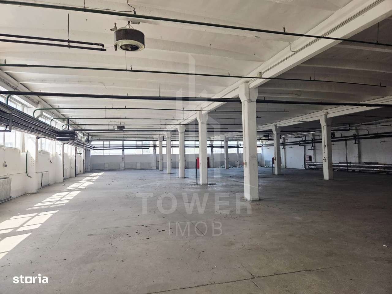 Hala generosa de închiriat . - Imagine principală: 3/8