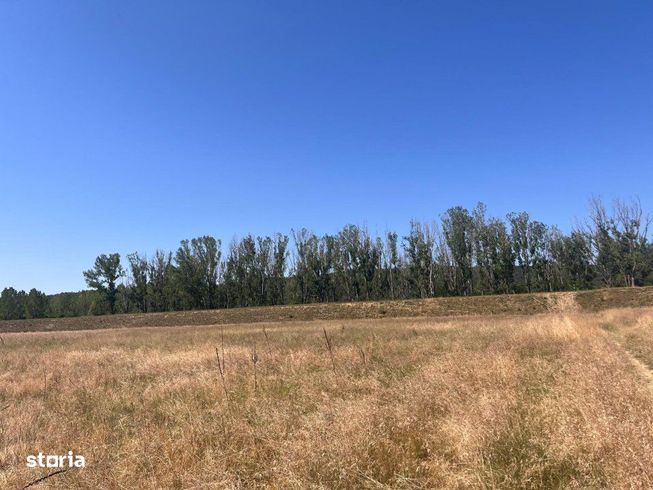 Teren agricol cu potential – 24.834 mp, zona Podul Jiului-4