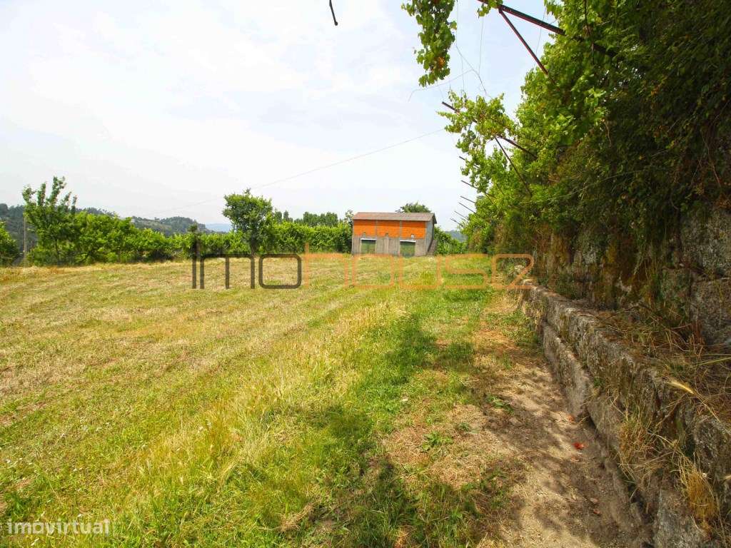 Quinta do séc. 18 - Amarante-41