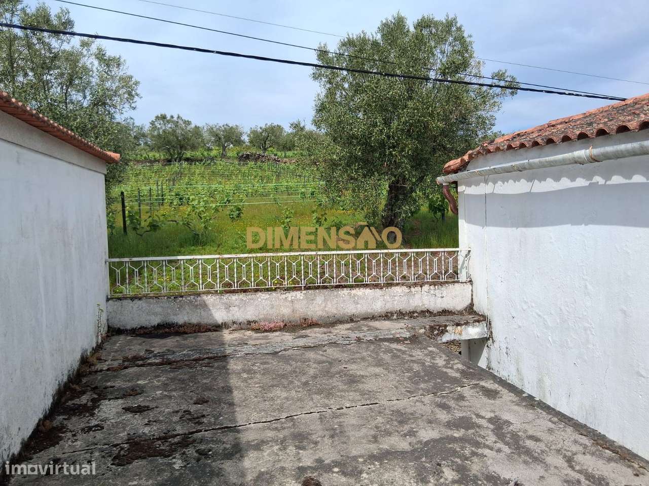 Deslumbrante Quinta V4 com Vistas Privilegiadas no Coração da Régua... - Grande imagem: 3/18