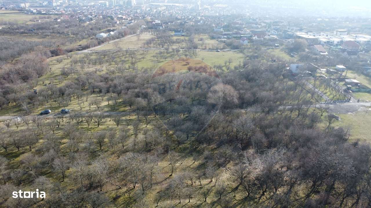 Teren 20.146 mp Dâmbu Rotund (Lomb).Extravilan.Potențial rezidențial-16