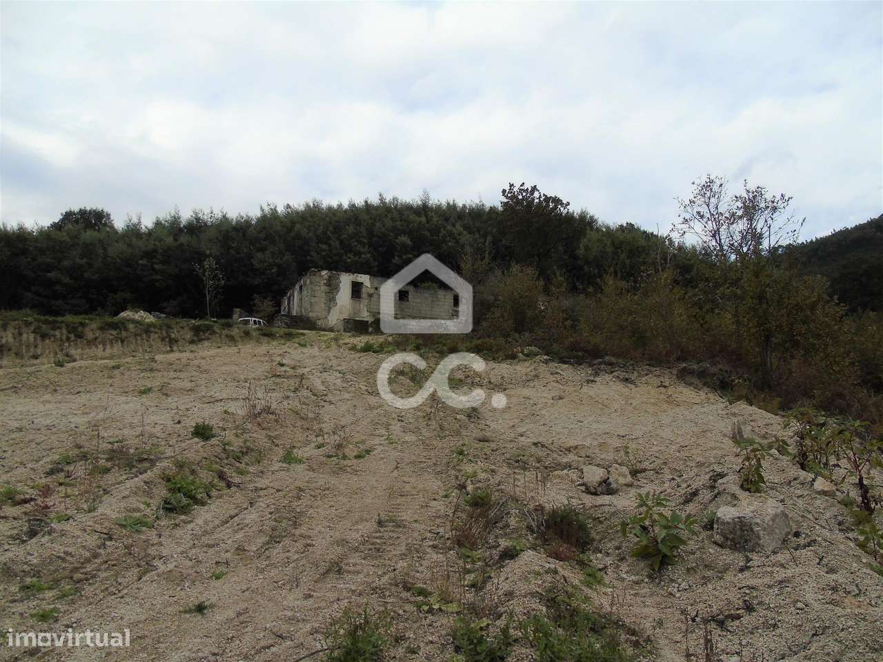 Quinta em Vale de Bouro - Celorico de Basto -  preparada para plantaçã - Grande imagem: 4/25