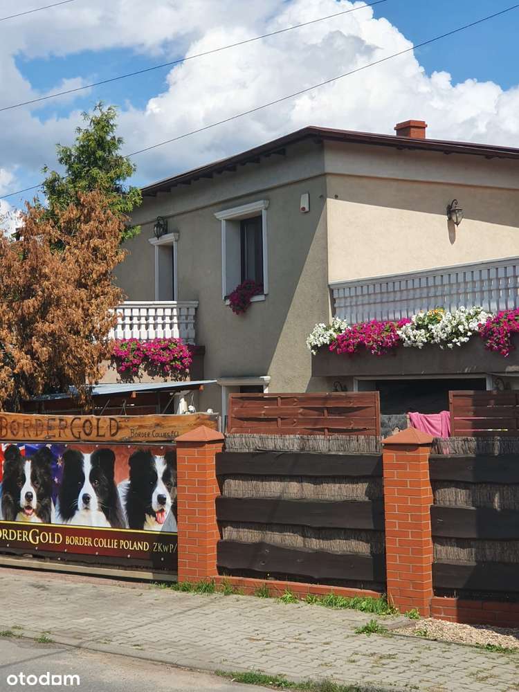 Dwurodzinny dom w Orzechu-9